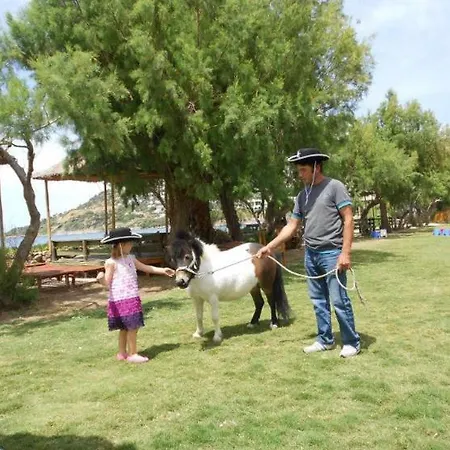 Equestrian And Club موتيل بودروم
